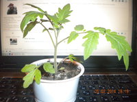 DSCN6993.JPG
