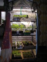 DSCN7651.JPG