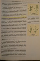 P1180676.JPG