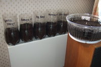 DSCF0502.JPG
