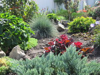 IMG_0300_1.jpg