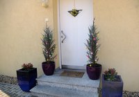 DSCF0086.jpg