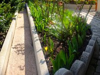 DSCF0087.jpg