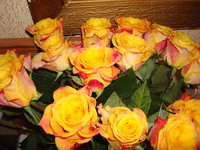 DSC01186.JPG