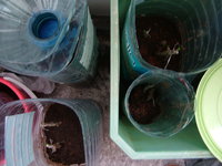DSCF3905.JPG