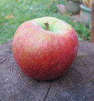Хани крисп3 28 сент.jpg