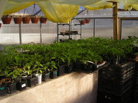 DSCN7792.JPG
