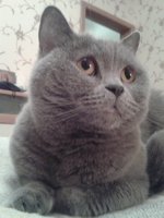 Маруська (она же Амалия, но об этом уже никто не помнит)