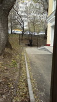 Почти французский дворик.