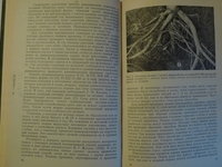 P1090231.JPG