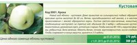 Кустовая Кроха.jpg