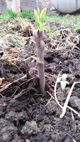 20150427_182030.jpg