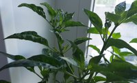 20150505_084426.jpg