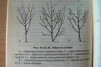 P1200145.JPG