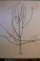 P1200148.JPG