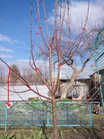 IMG_20150505_172220.jpg