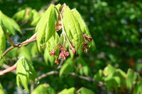 P1200320.JPG
