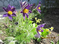 IMG_8011.JPG