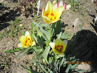 IMG_8021.JPG