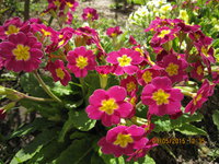 IMG_8032.JPG