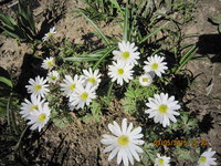 IMG_8022.JPG