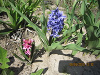 IMG_8027.JPG