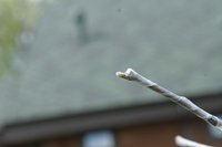 DSC_1434.jpeg