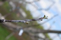 DSC_1429.jpeg