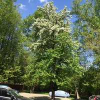 IMG_0891.JPG.jpeg