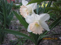 IMG_8054.JPG