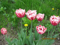 IMG_8076.JPG