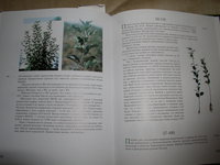 P1010009.JPG