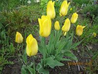 IMG_8098.JPG