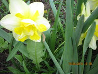 IMG_8097.JPG