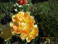 IMG_8128.JPG