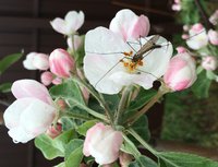 IMG_1127.JPG