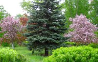 DSC00800.jpg