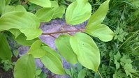 WP_20150524_012.jpg