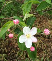 IMG_1119.JPG