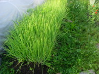 DSCN7017.JPG