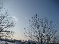 IMG_6116.jpg