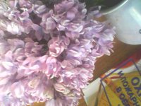 IMG0053A.jpg