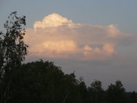 DSC00866.jpg