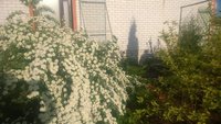 WP_20150526_023.jpg