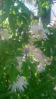 WP_20150526_031.jpg