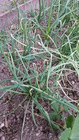 20150605_141412.jpg