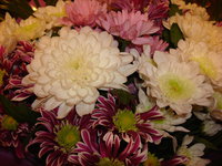 DSC00252.JPG