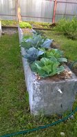 WP_20150607_001.jpg