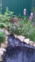 20150607_210012~2.jpg