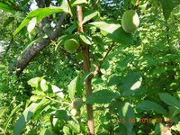 DSCN3538.JPG